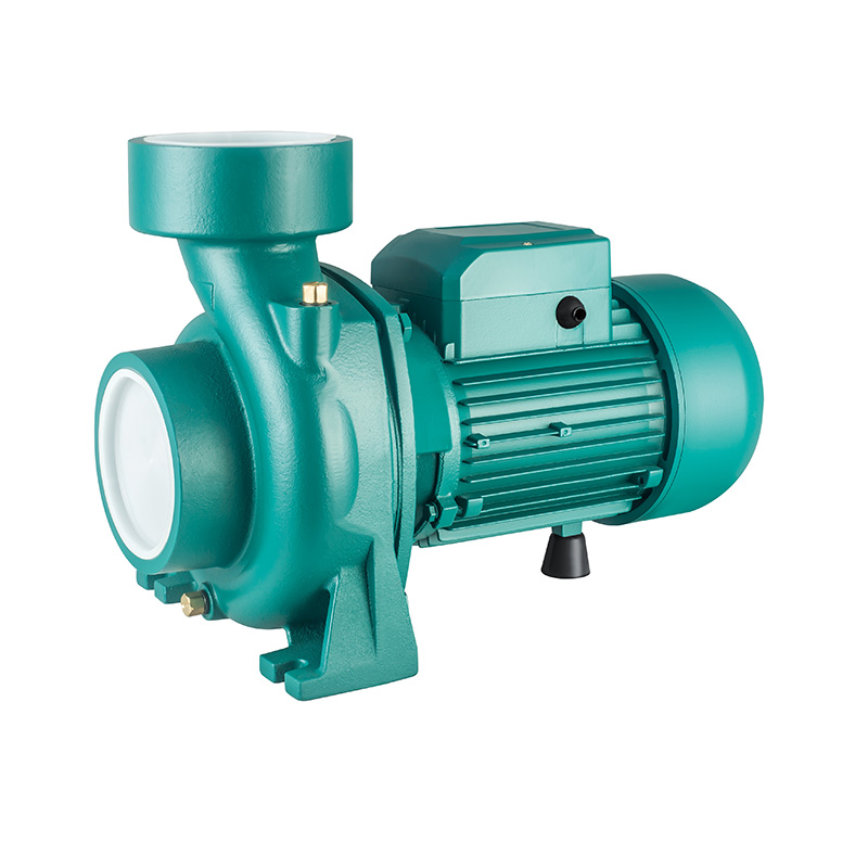 Surface Centrifugal Pump Performance Curve Verification